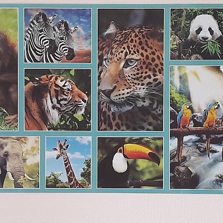 Animalier Apartment Joigny Ngoại thất bức ảnh